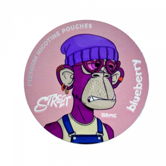 Снюс Street Blueberry (Черника) 25 шт 150 мг