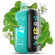 Одноразка ELF BAR RAYA D3 ALPINE MINT 5% со вкусом мяты